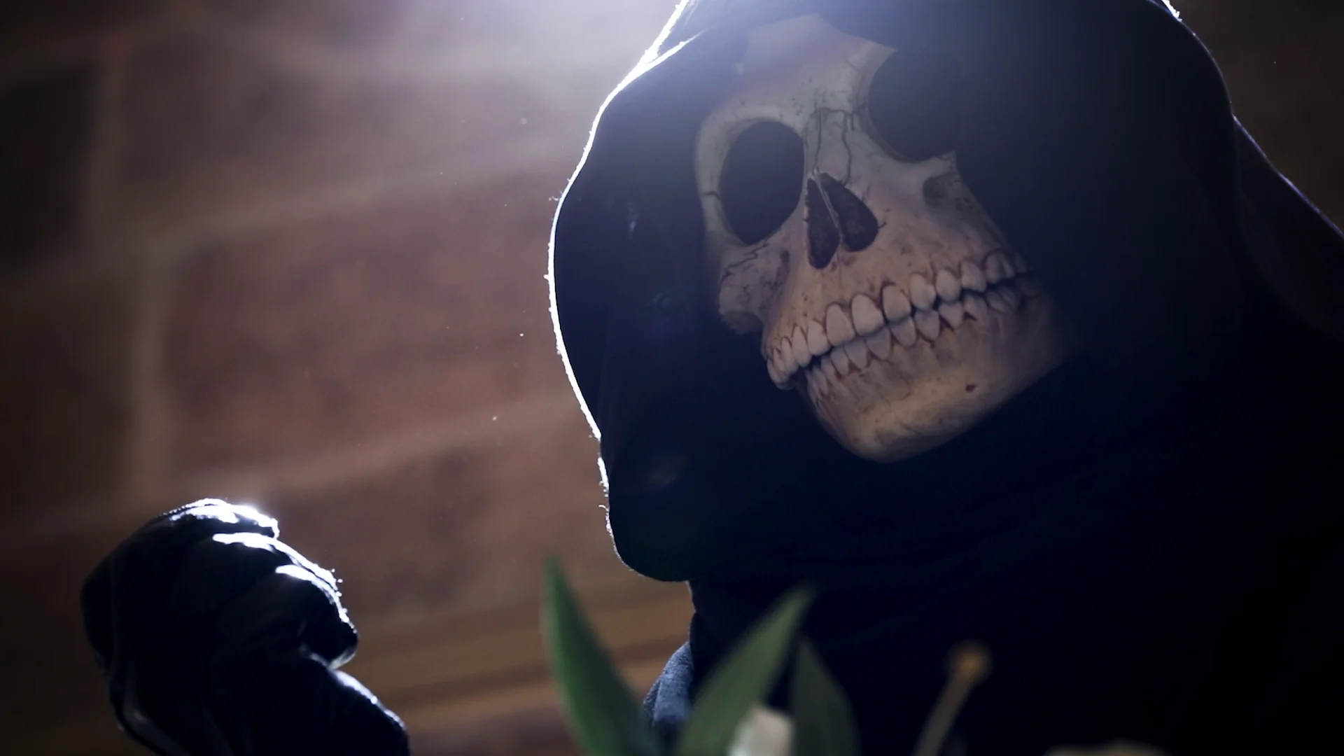 A hooded skeletal figure caught in a shaft of light in Lilies and Dust