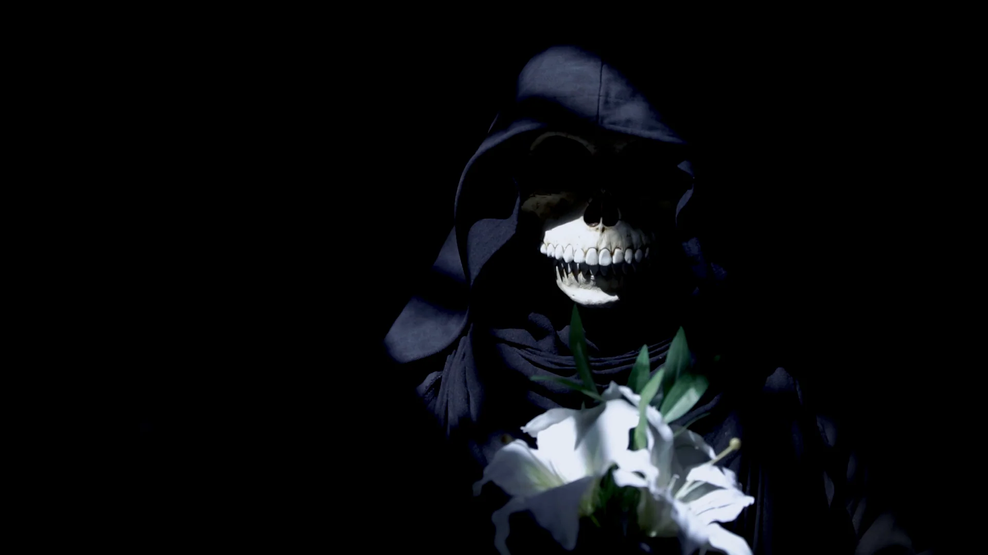 A hooded skeletal figure holding white lilies against darkness