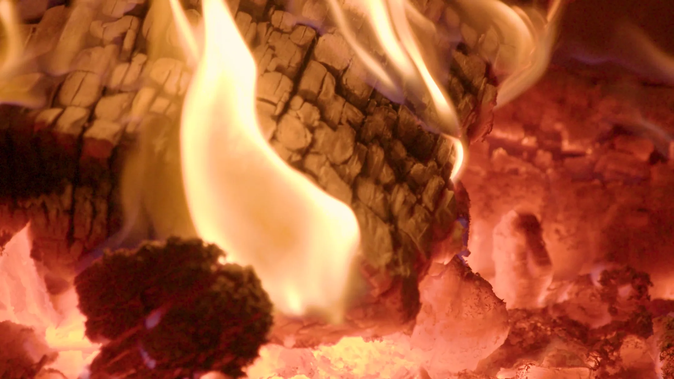Flames and glowing wood inside the pizza oven