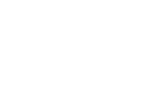 The Limited logo