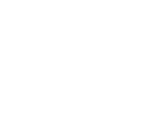 Perfection Fresh