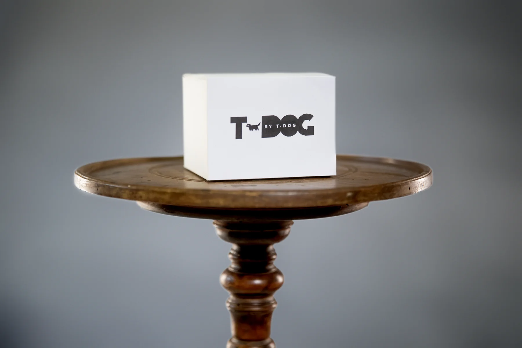 T-Dog cube displayed like a product