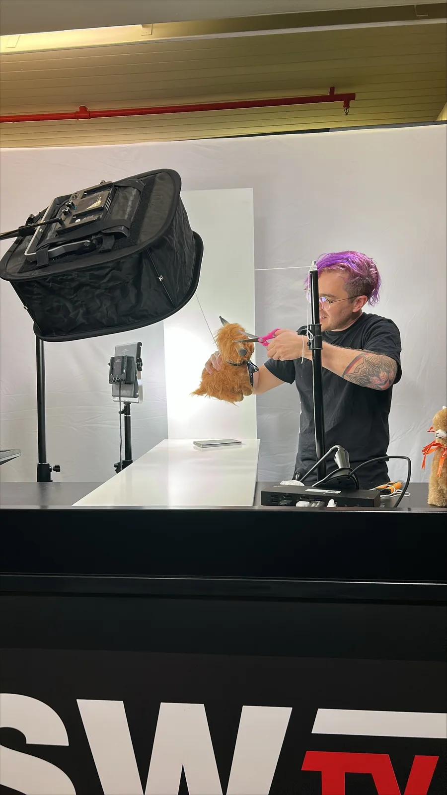 Behind the scenes while photographing a TinaCMS llama plush