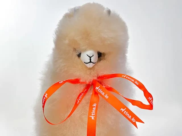A TinaCMS llama plush photographed for the brand